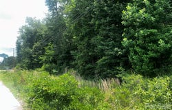 Frink Street, Cayce, SC 29033