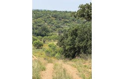 Little Willow Creek Road, Mason, TX 76856