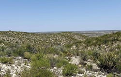 Busch lot: 25, Dryden, TX 78851