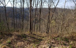Wilsie Rd, Frametown, WV 26623