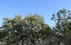 Cheyenne Trl, Wimberley, TX 78676