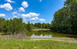 11282 ALBERT TURNER SR MEM HWY, Marion Junction, AL 36759