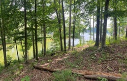 Waterside Point Lot 22, Abbeville, SC 29620