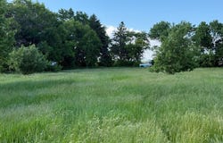 305 Roberts Street, Webster, ND 58382