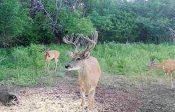 Rd 280 & Rd S, Admire, KS 66830