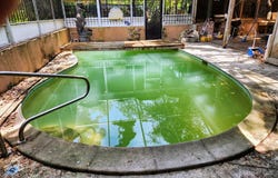 286 SHAMROCK Drive, VENICE, FL 34293