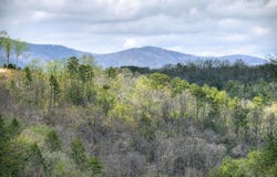 250 Noah Circle, Ellijay, GA 30540