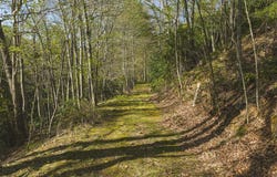 Black Ridge Road, Floyd, VA 24091