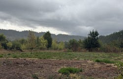 Crane Ln, Corvallis, OR 97330