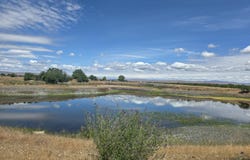 5451 Branch Rd, Wapato, WA 98951