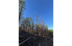 79 Vine Court, Broken Bow, OK 74728