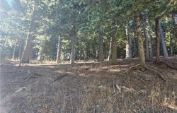 Altdorf, Crestline, CA 92325