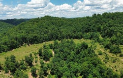 3800A Butcher Hollow Rd, Van Lear, KY 41265