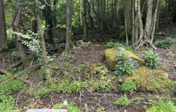 Stocton Road, Roan Mountain, TN 37687
