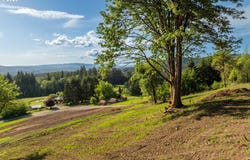 Lenora, Kelso, WA 98626