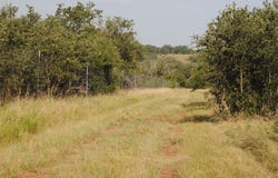 Cr 190, Comanche, TX 76442