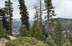 5160 W Bear Cir, Duck Creek, UT 84762