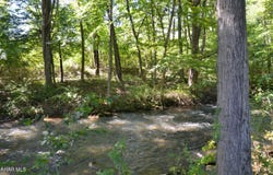 Reightown Road, Tyrone, PA 16686