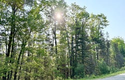ON MOENS LAKE DR, Rhinelander, WI 54501