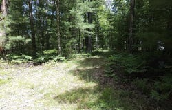 Red Oak Drive, Prescott, MI 48756