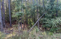 xx 1 & 2 Rosboro Loop, Amity, AR 71921