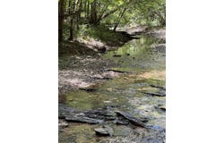 Pleasant Point, Mount Ida, AR 71957