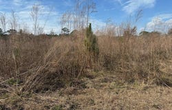 Old Grade Road, FL 33868