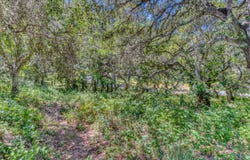 San Benancio RD, SALINAS, CA 93908