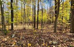 River Road, Hannawa Falls, NY 13647