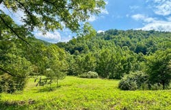 1548 Providence Road, Elizabeth, WV 26143