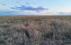 County Road PP, Springfield, CO 81073
