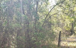 6372 COUNTY ROAD 315C, Keystone Heights, FL 32656