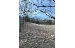 564 Rattlesnake Drive, Marshall, AR 72650