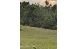 S Linebarger, Fairview, MO 64842