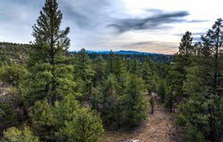 Gallina Canyon, Valdez, NM 87571