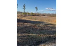 Brown Town Rd, Brodnax, VA 23920