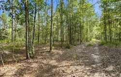Barracada, Walterboro, SC 29488