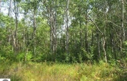 M-55, Cadillac, MI 49601