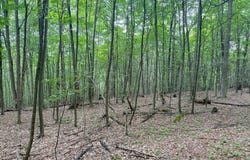 Cole Hill Rd., Russell, PA 16345