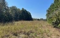 9641 Crane Drive, Bucyrus, MO 65444