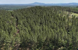 058 Pine Hills Way, Piedmont, AL 36272