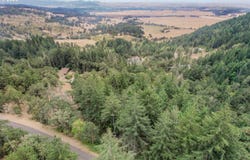 Sheep Head Rd, Brownsville, OR 97327