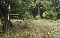 NKA White Cloud Dr, Sandpoint, ID 83864