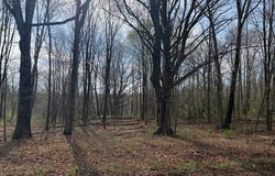 350 Deercliff Road, Avon, CT 06001