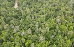 Woodpecker Lane, Sandstone, MN 55072