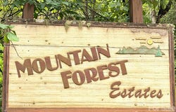 477 Mountain Forest Estate, Sylva, NC 28779