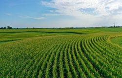 County Rd 22, Houston, MN 55943