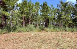 7282 Buffalo Ridge Rd, Pace, FL 32571