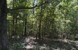 5.49 Acres T Warren, Warrenton, MO 63383