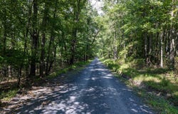 SUPINLICK RIDGE RD, BROADWAY, VA 22815